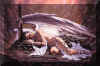 angelII.jpg (27522 Byte)